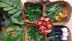 cara-membuat-ecoprint-mudah-untuk-pemula-di-rumah